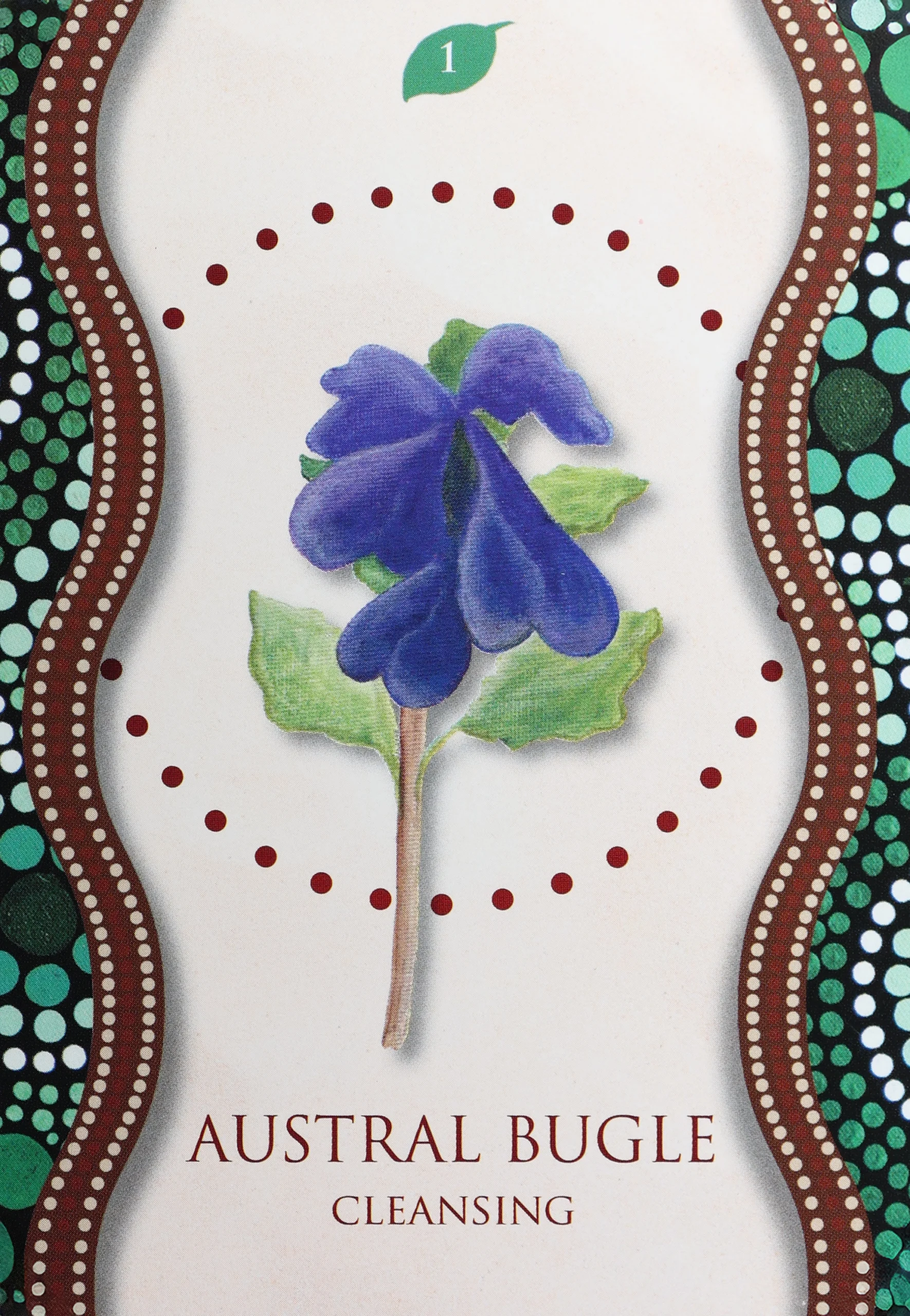 Aboriginal Healing Oracle 1 Austral Bugle