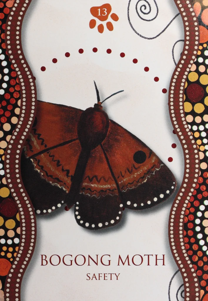 Aboriginal Healing Oracle 13 Bogong Moth