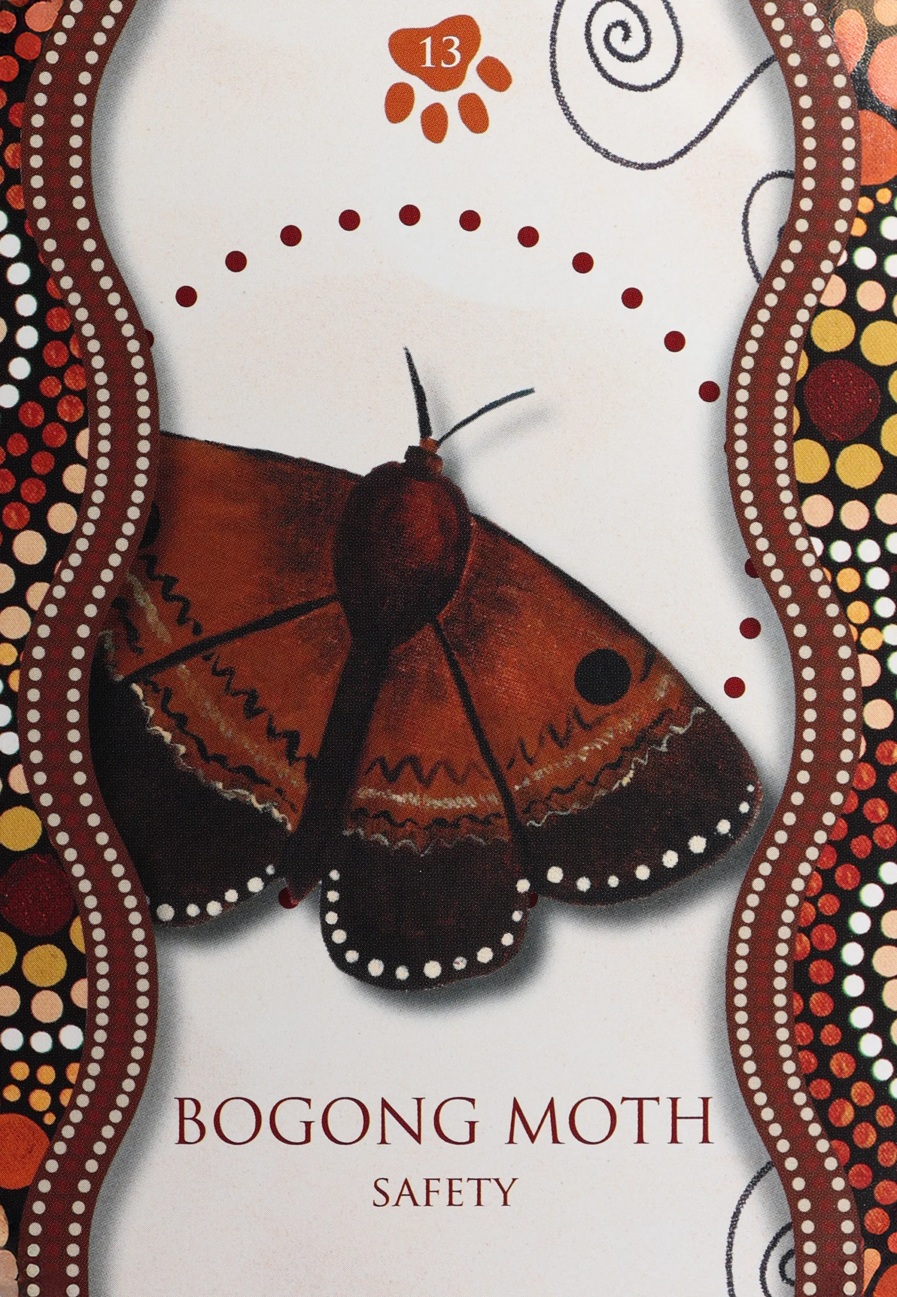 Aboriginal Healing Oracle 13 Bogong Moth