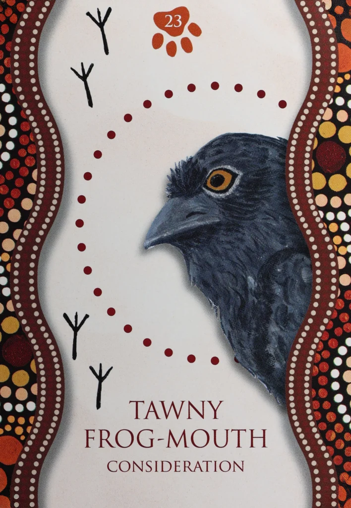 Aboriginal Healing Oracle 23 Tawny Frog-Mouth