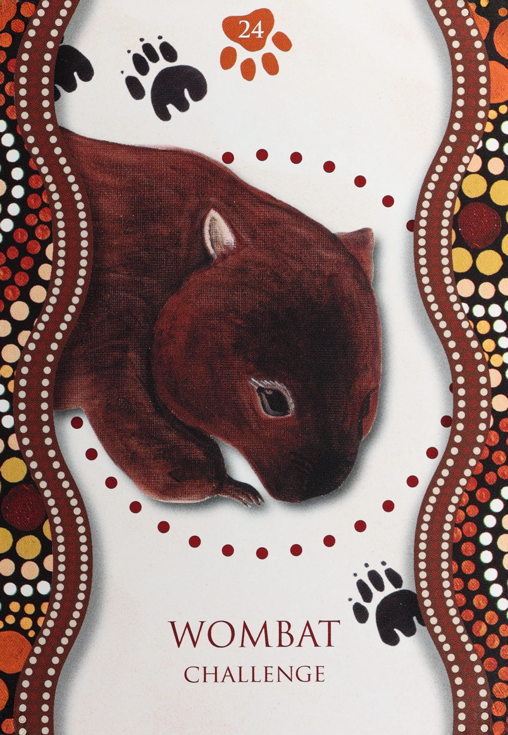 Aboriginal Healing Oracle 24 Wombat