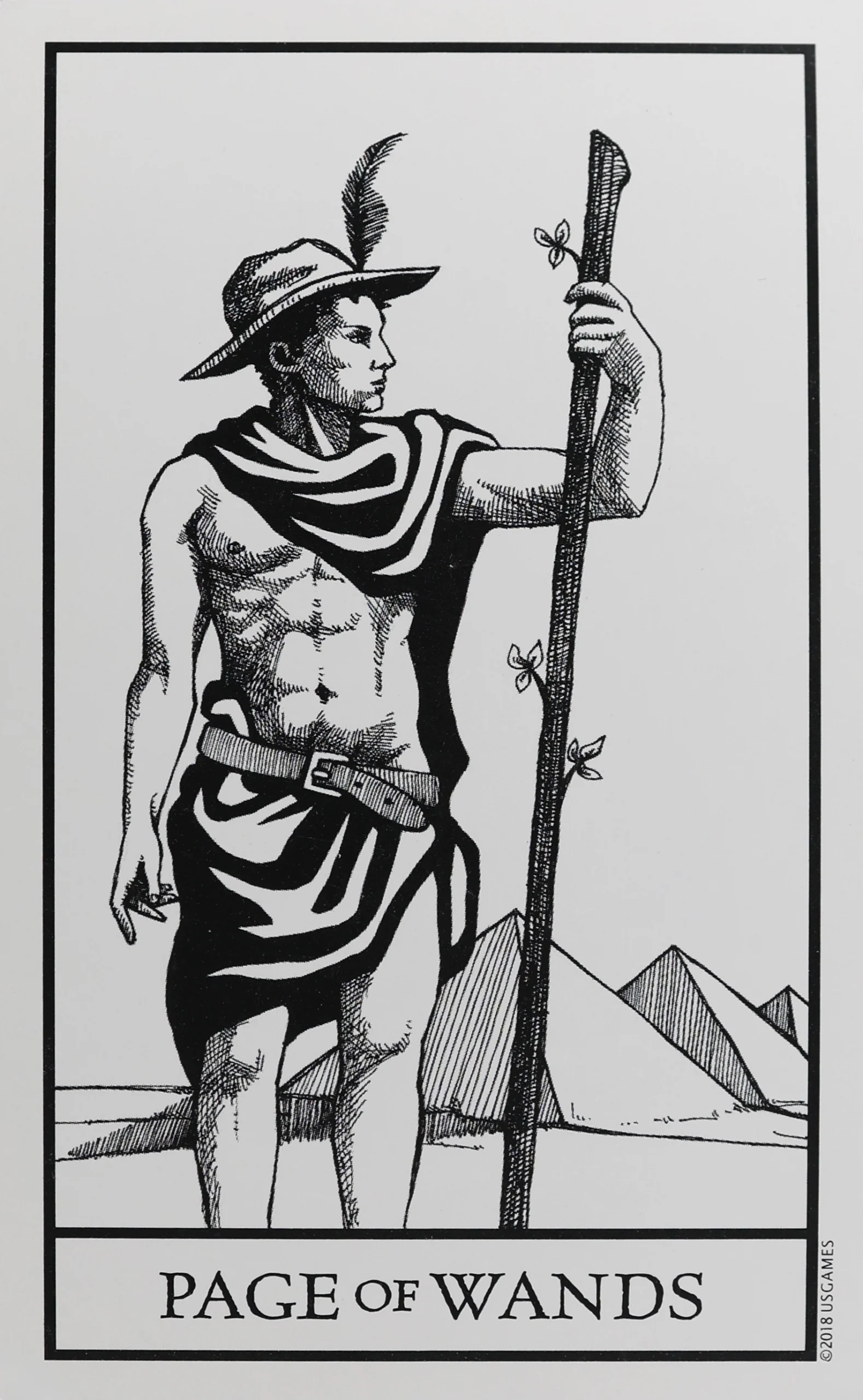 Bianco Nero Tarot Wands Page