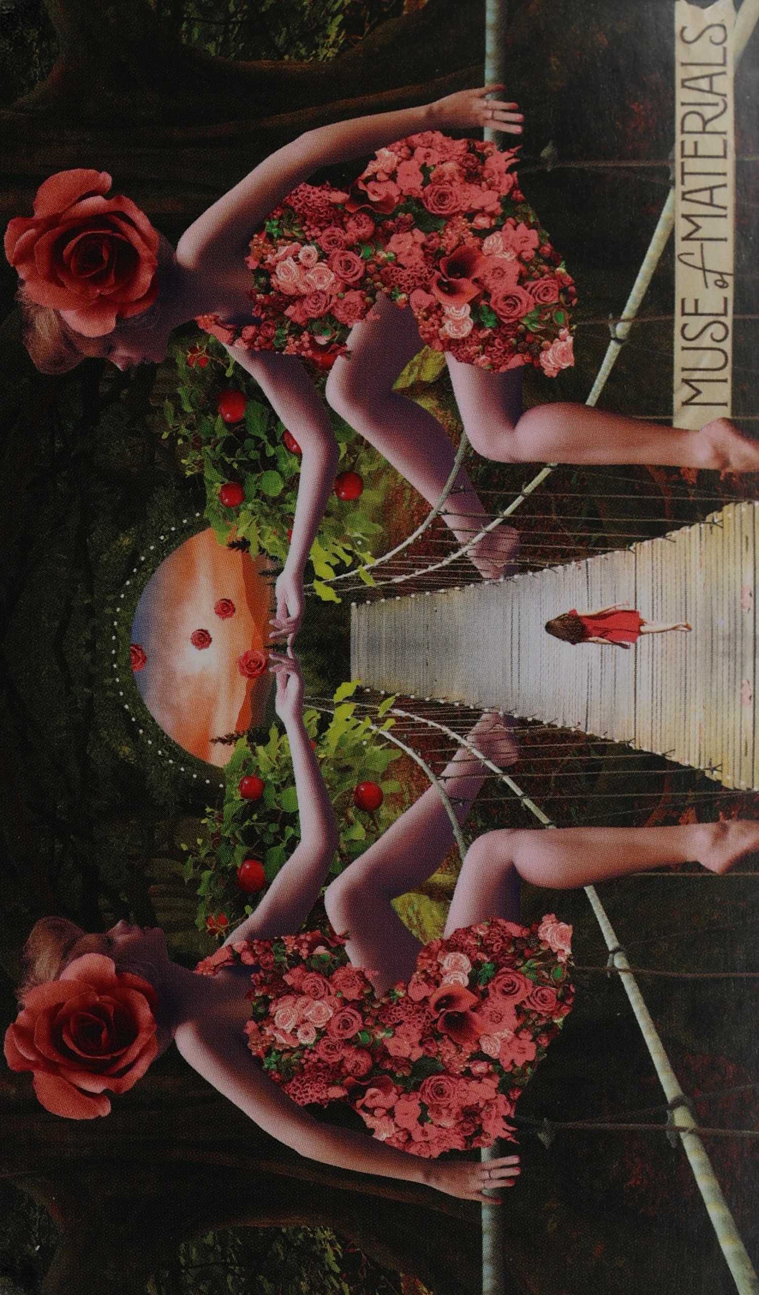 Muse Tarot Pentacles Muse