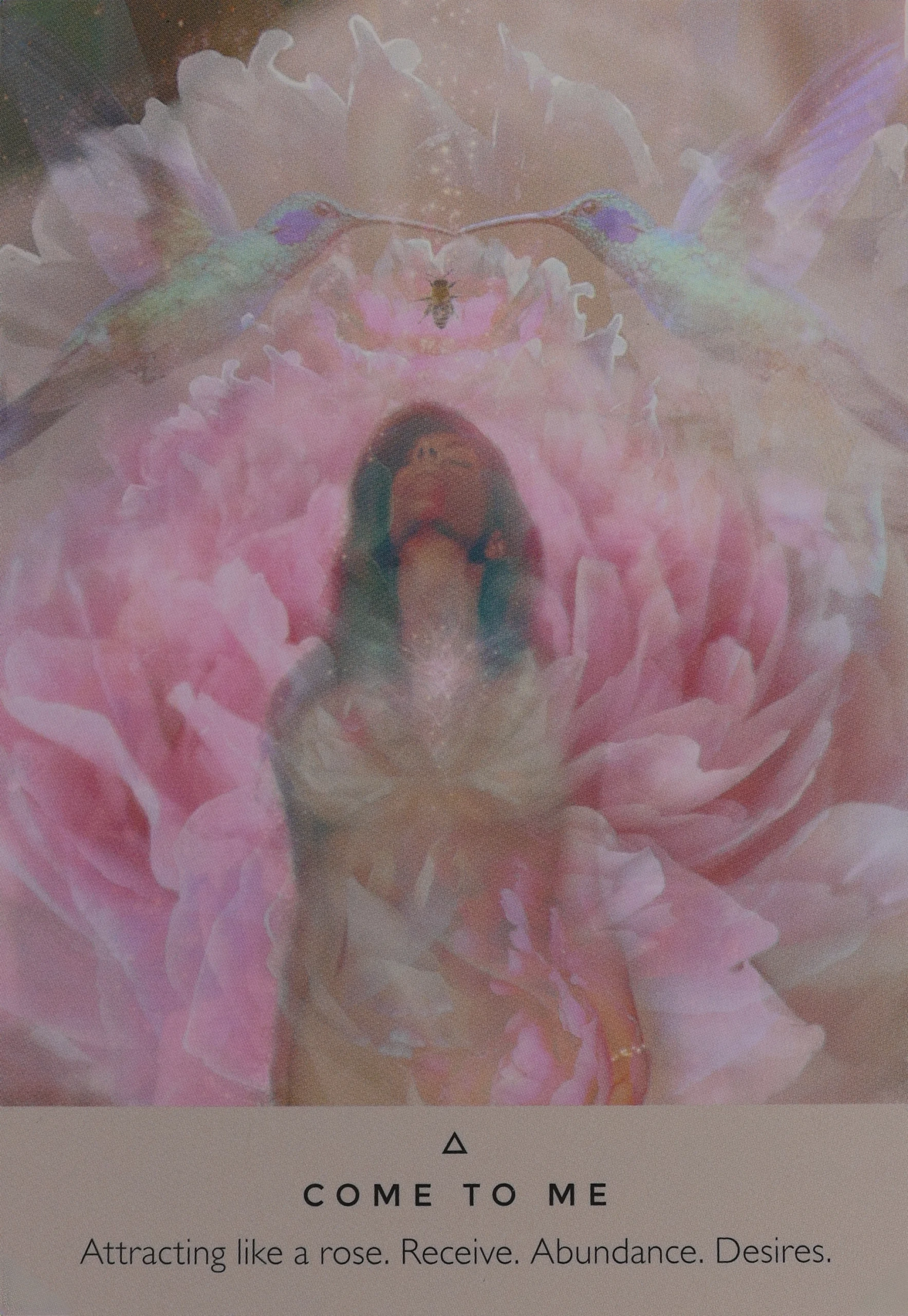 Rose Oracle Come To Me