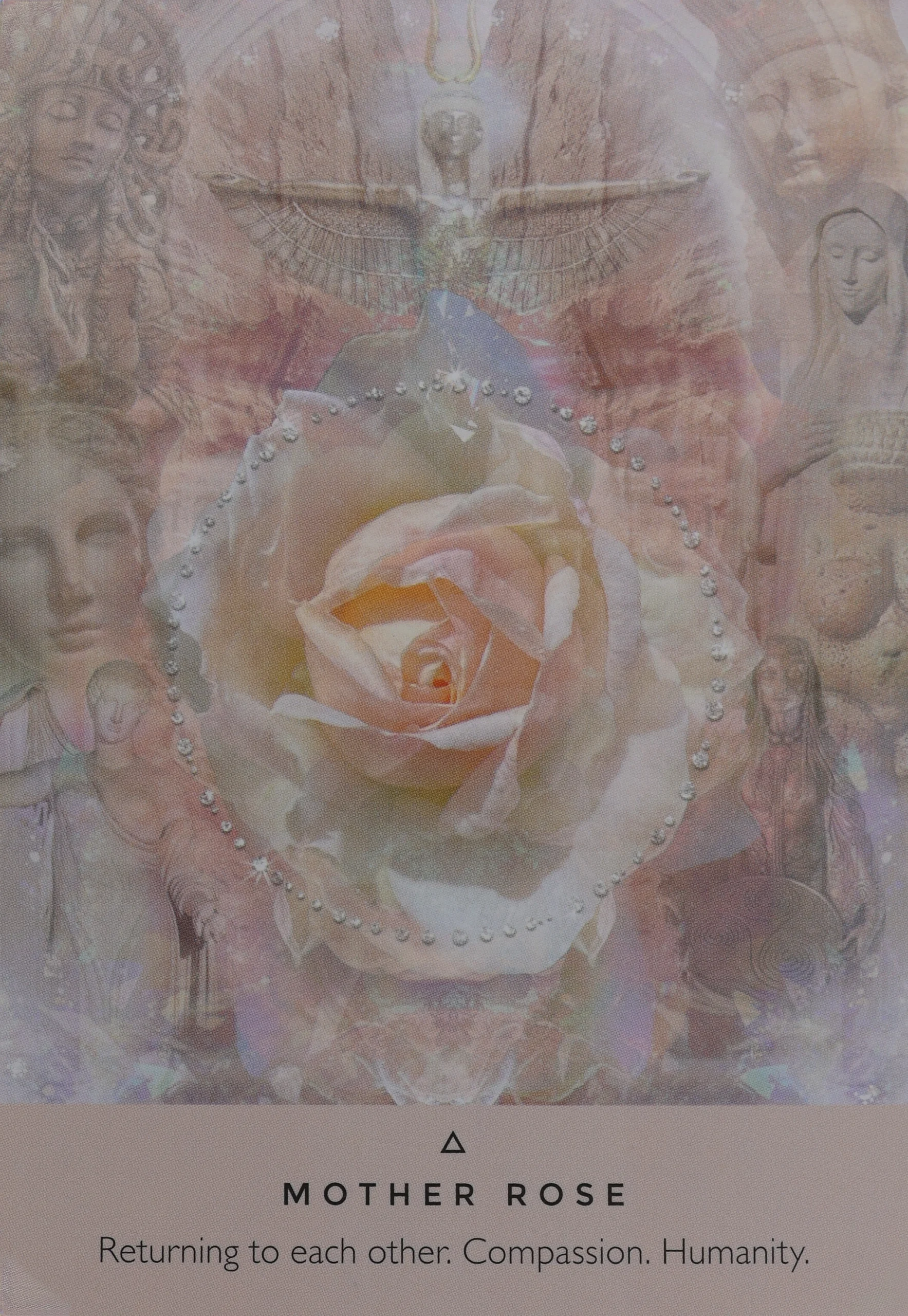 Rose Oracle Mother Rose