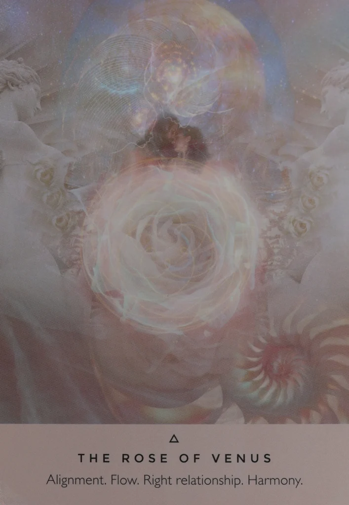 Rose Oracle The Rose Of Venus