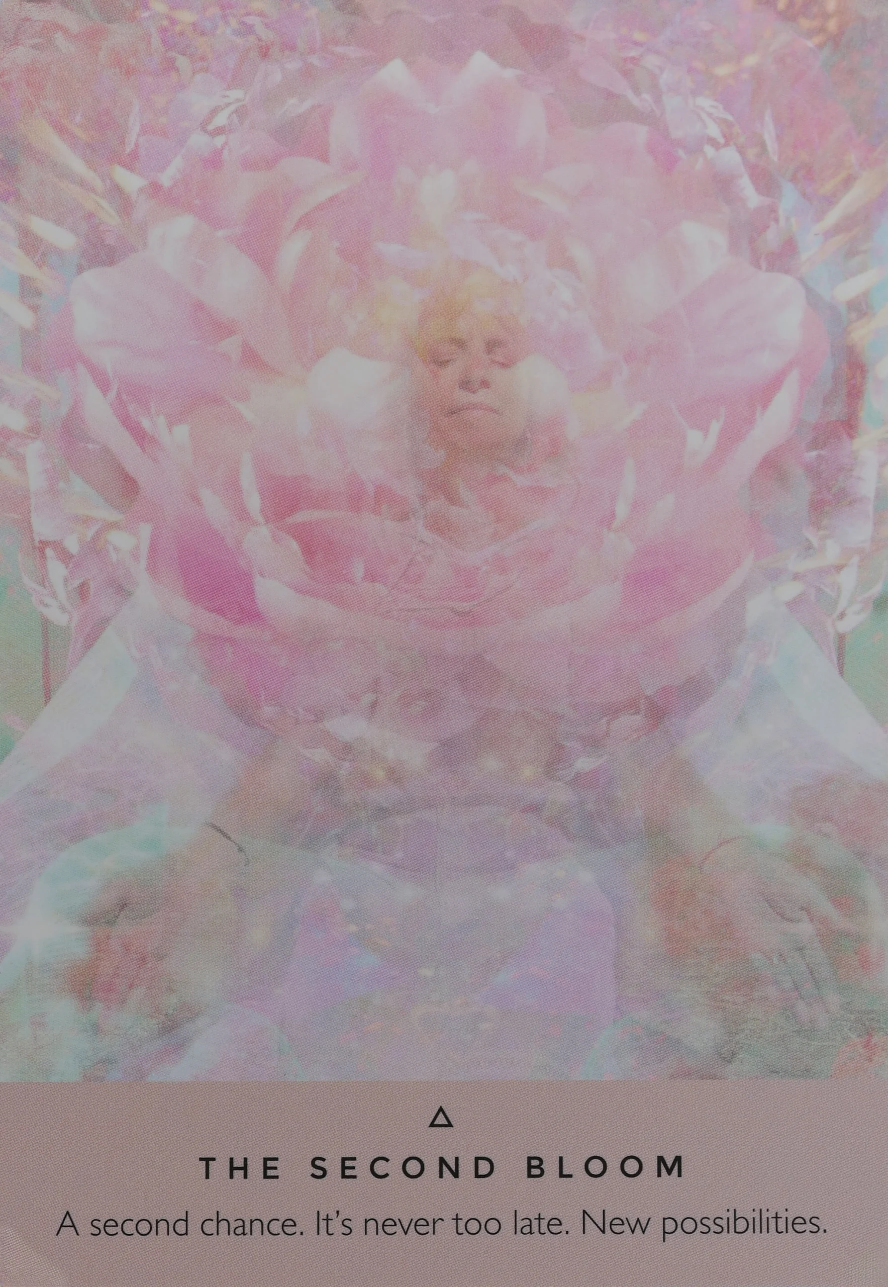 Rose Oracle The Second Bloom