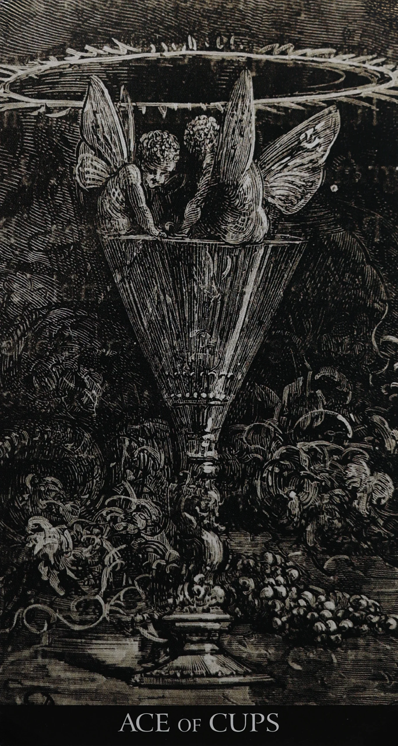 dore-tarot-cups-1-ace-of-cups-tarot-card
