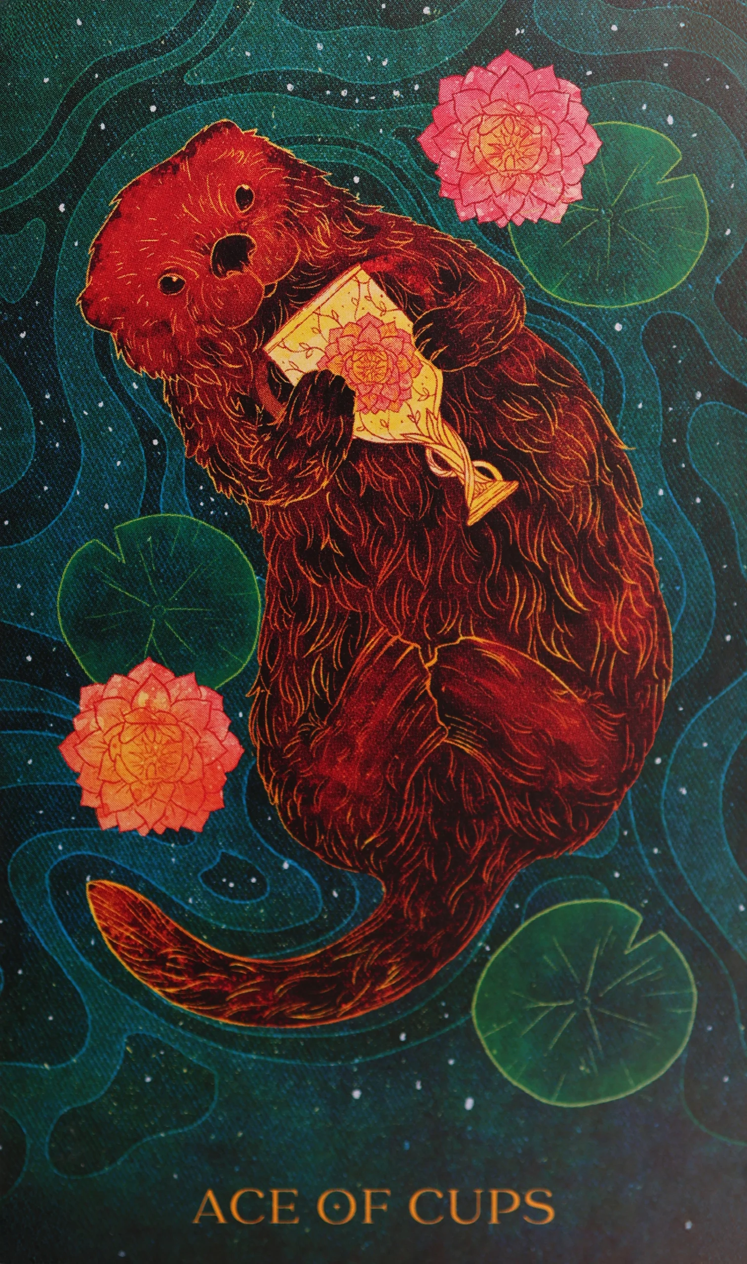 oriens-animal-tarot-cups-1-ace-of-cups-tarot-card