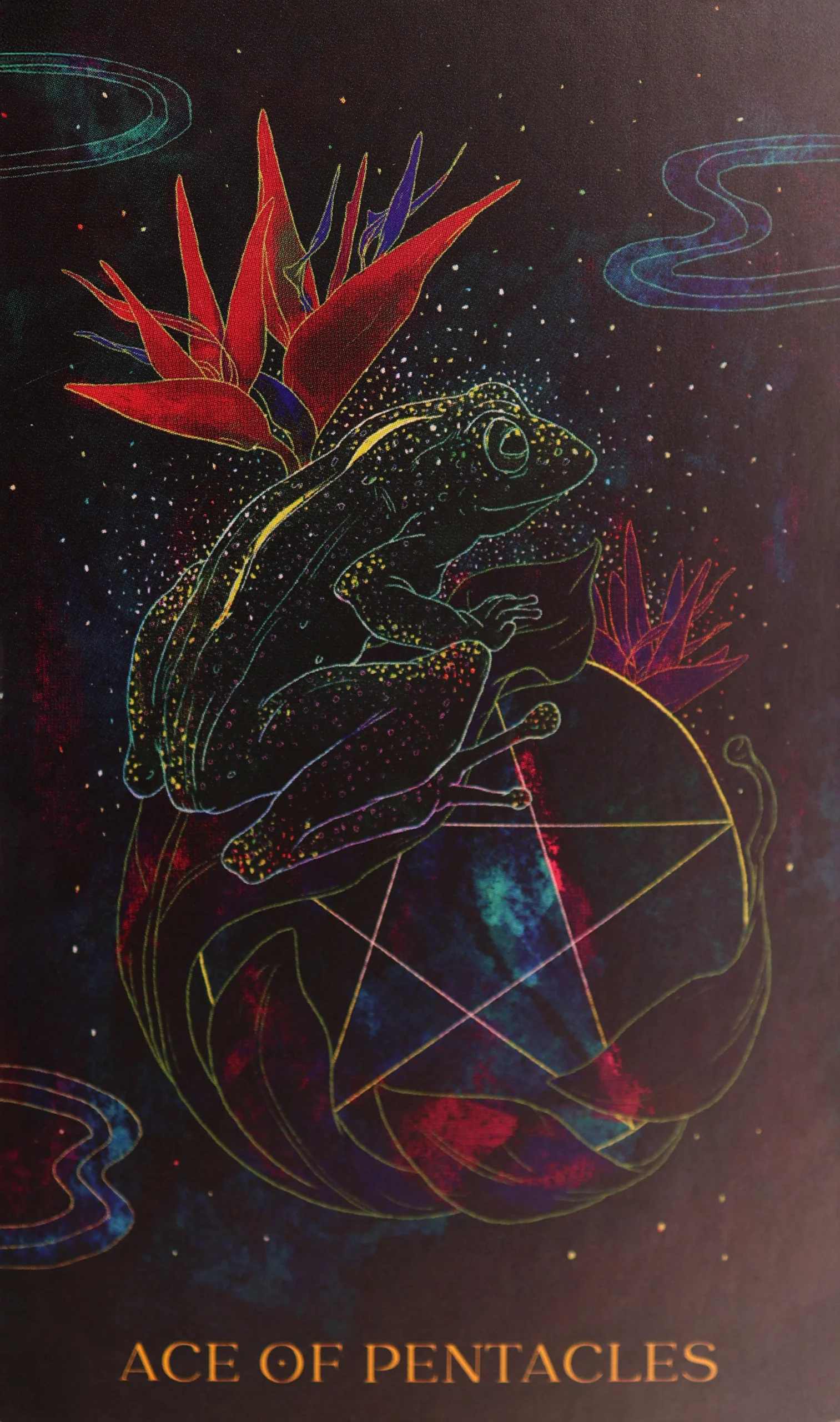 oriens-animal-tarot-pentacles-1-ace-of-pentacles-tarot-card