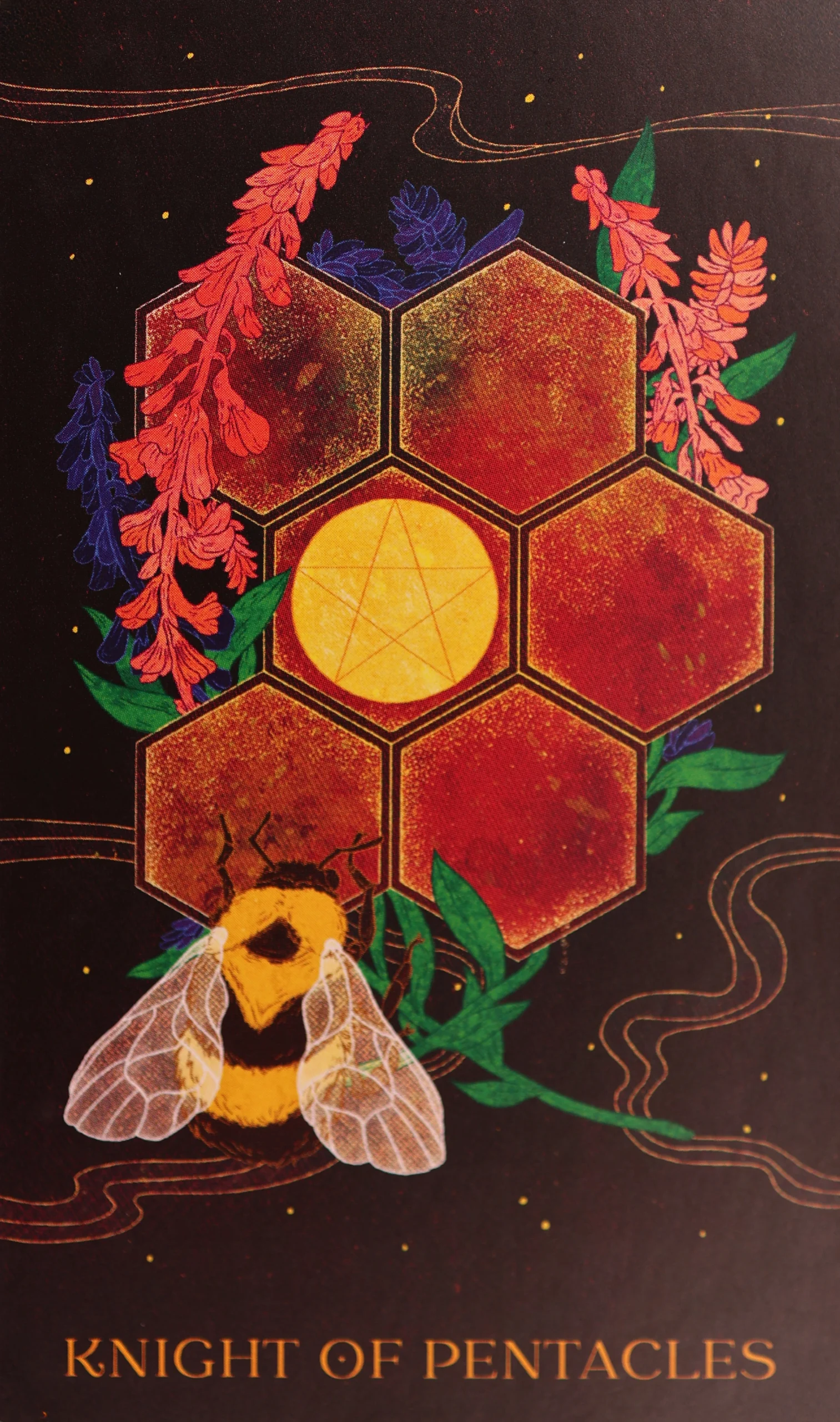 oriens-animal-tarot-pentacles-12-knight-of-pentacles-tarot-card
