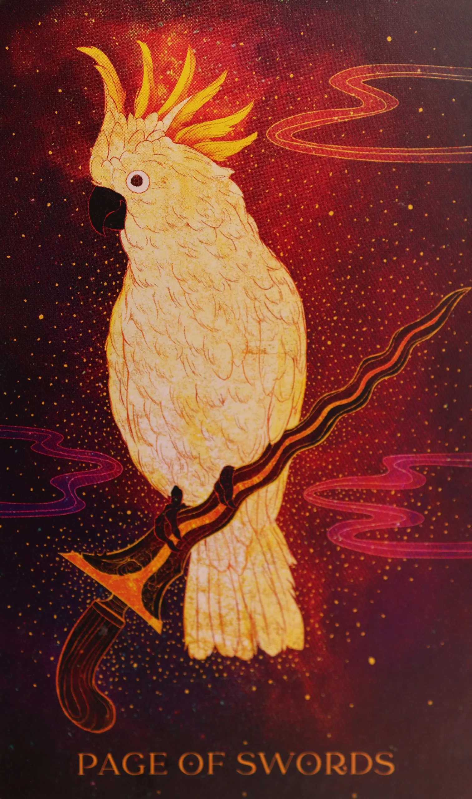 oriens-animal-tarot-swords-11-page-of-swords-tarot-card