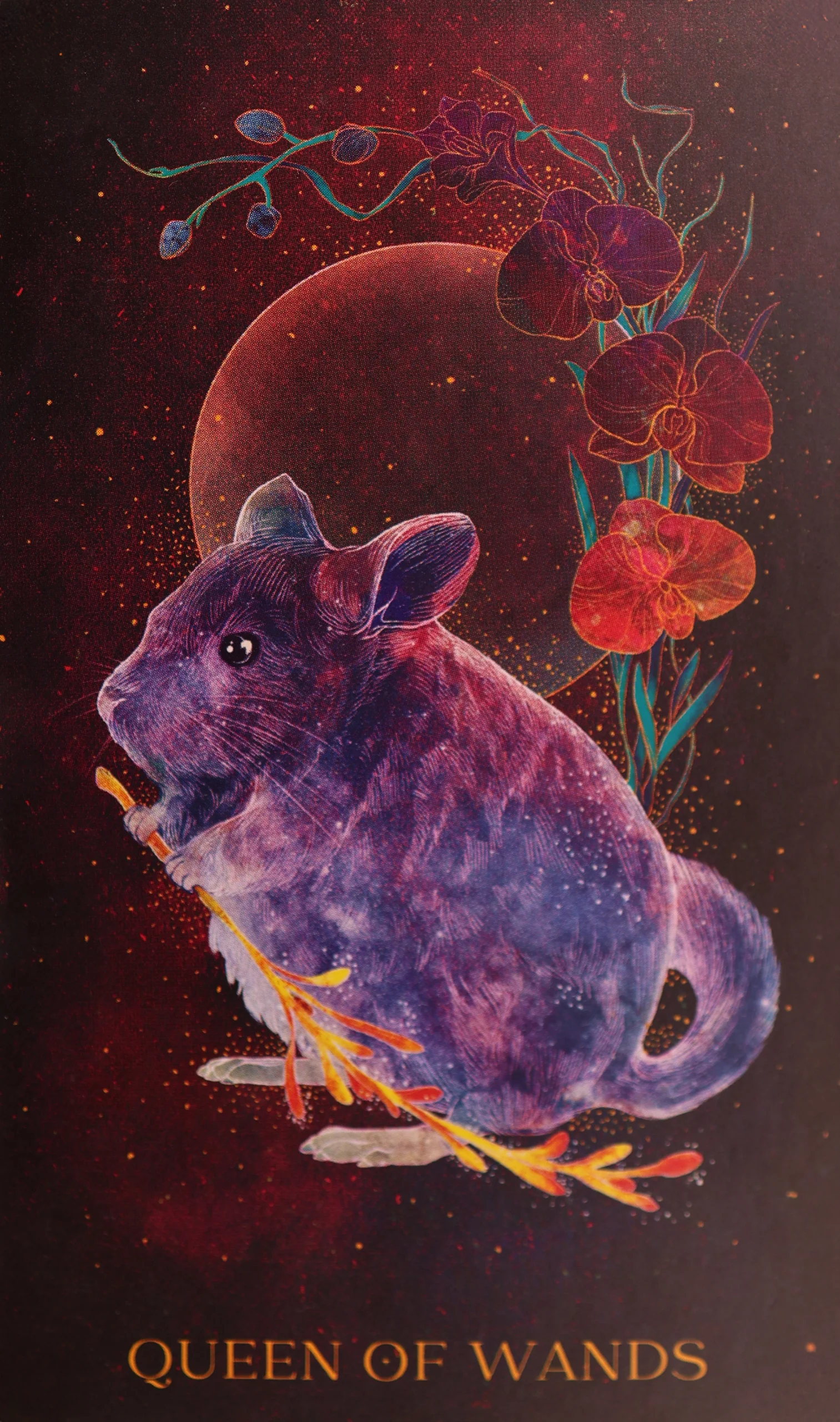 oriens-animal-tarot-wands-13-queen-of-wands-tarot-card
