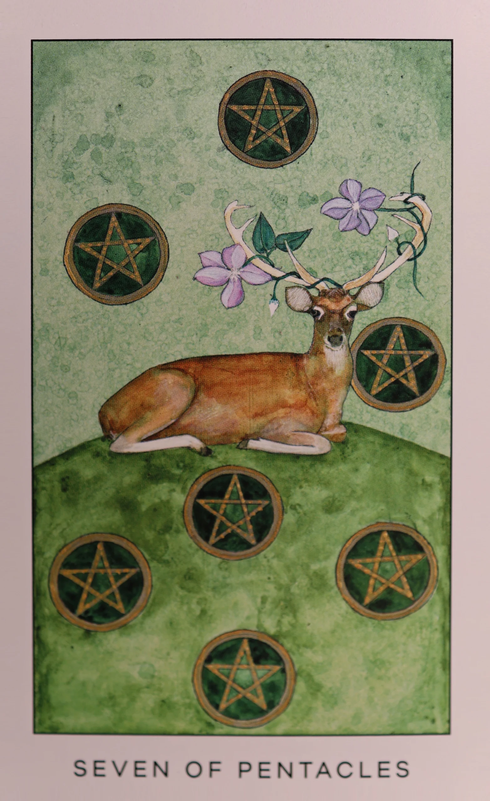 radiant-tarot-pentacles-7-seven-of-pentacles-tarot-card