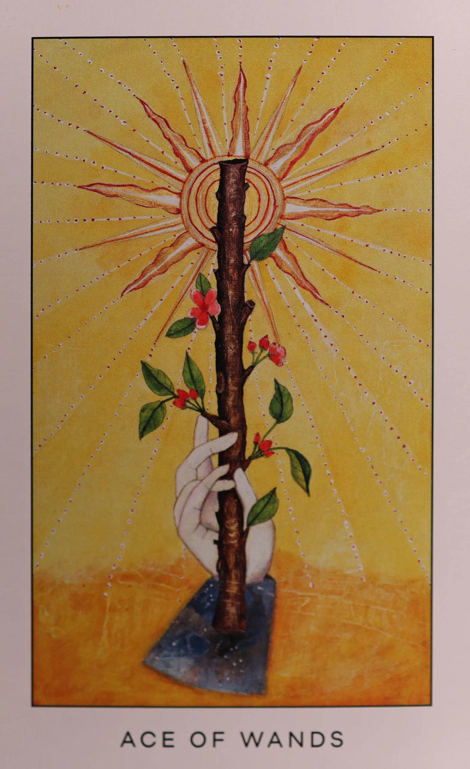radiant-tarot-wands-1-ace-of-wands-tarot-card