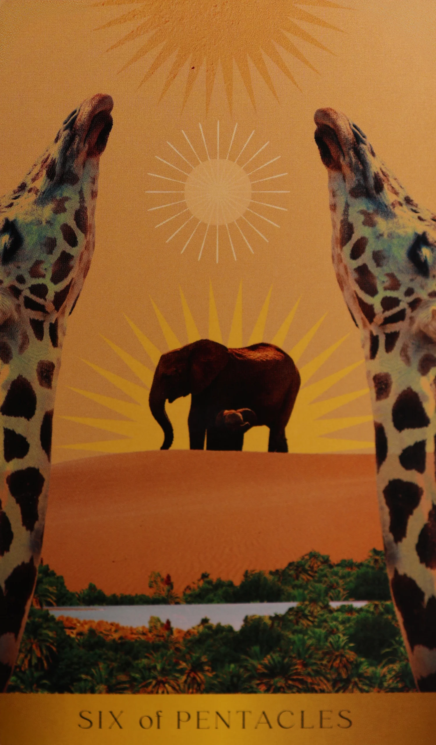 radiant-wilds-tarot-pentacles-6-six-of-pentacles-tarot-card