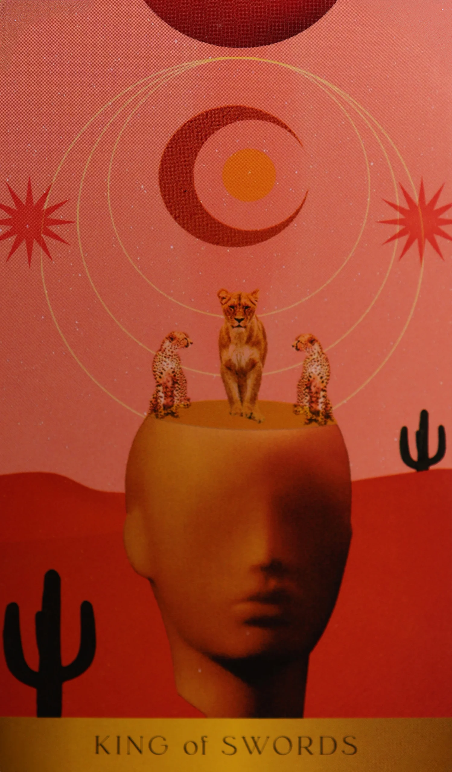 radiant-wilds-tarot-swords-14-king-of-swords-tarot-card